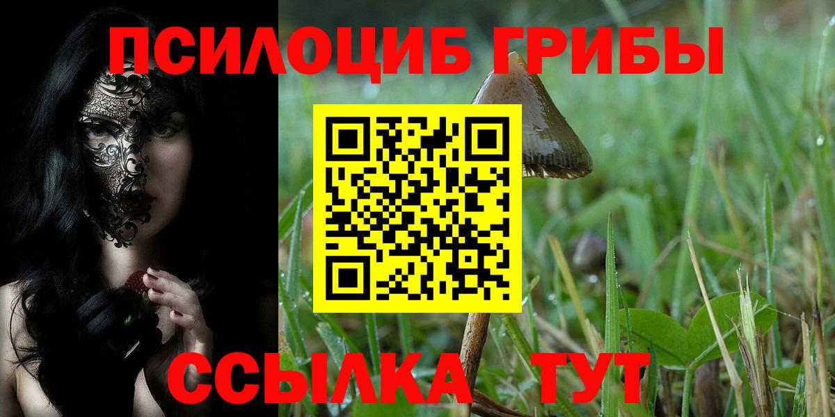 Галлюциногенные грибы MAGIC MUSHROOMS Качканар
