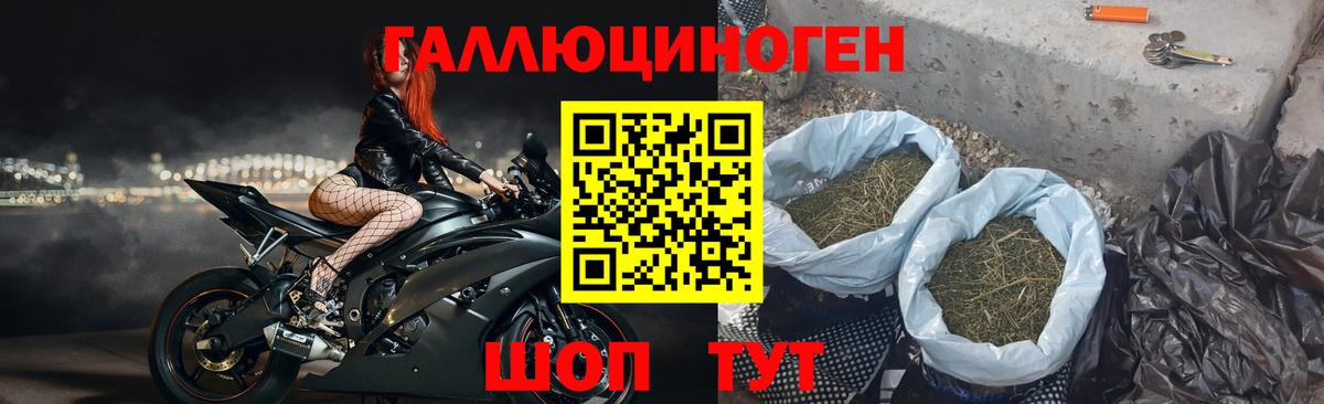 Качканар  Галлюциногенные грибы мицелий  Вход с VPN 
